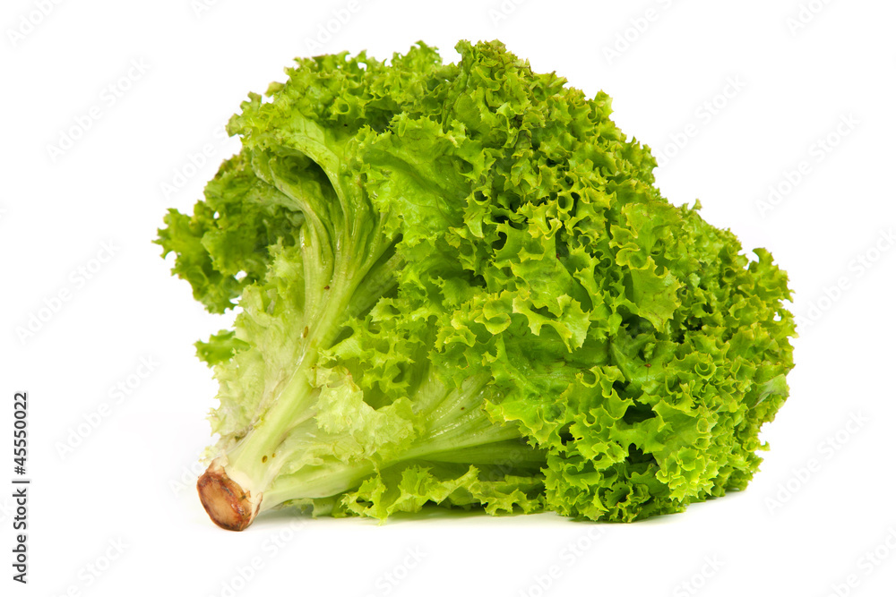 Fresh Green Lettuce isolated on white Fresh Green Lettuce isolated on white