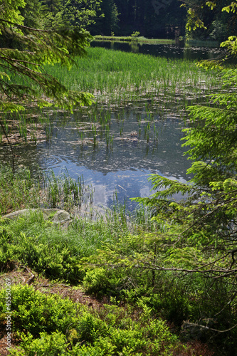 Vrbicke pleso photo