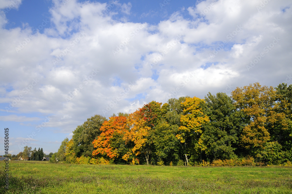 Fototapeta premium Herbst