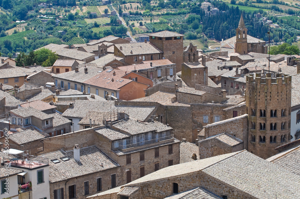 Panoramic view of Orvieto. Umbria. Italy.