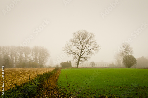 Belgian countryside