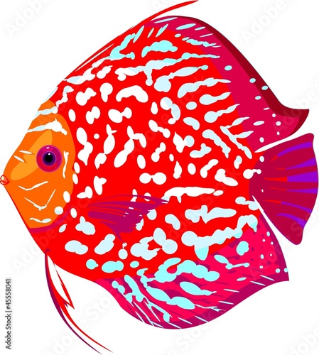 Red leopard discus fish