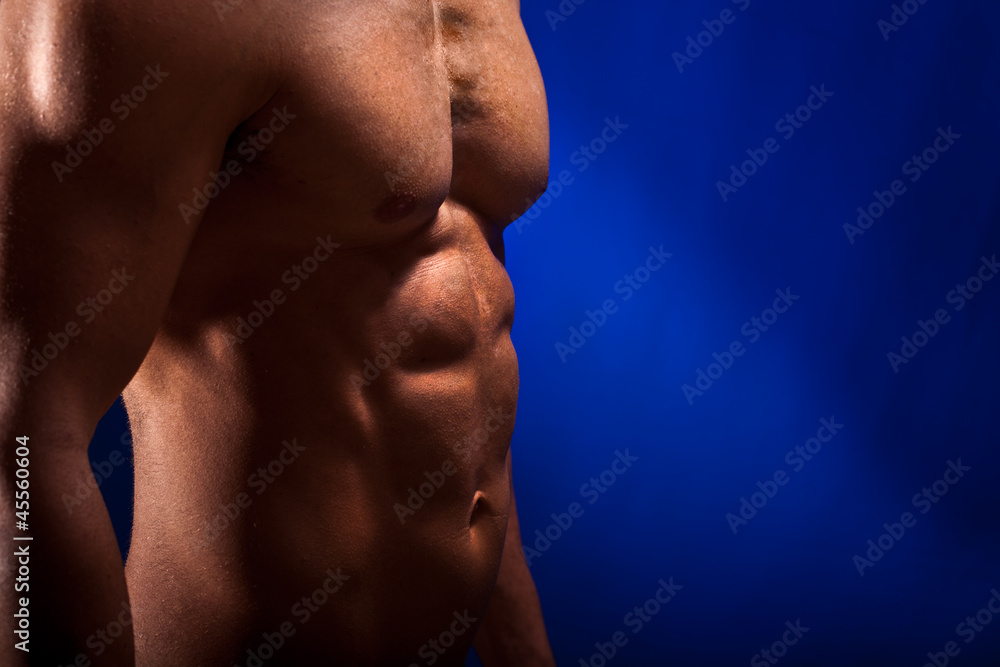 Beautiful Torso Beautiful Torso