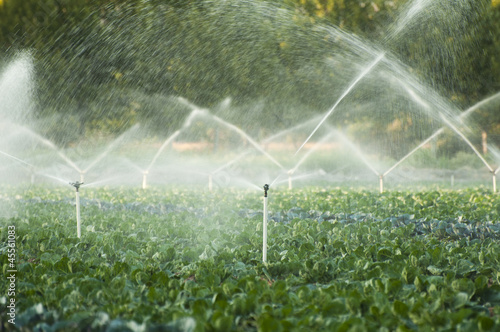 Irrigation systems in a vegetable garden