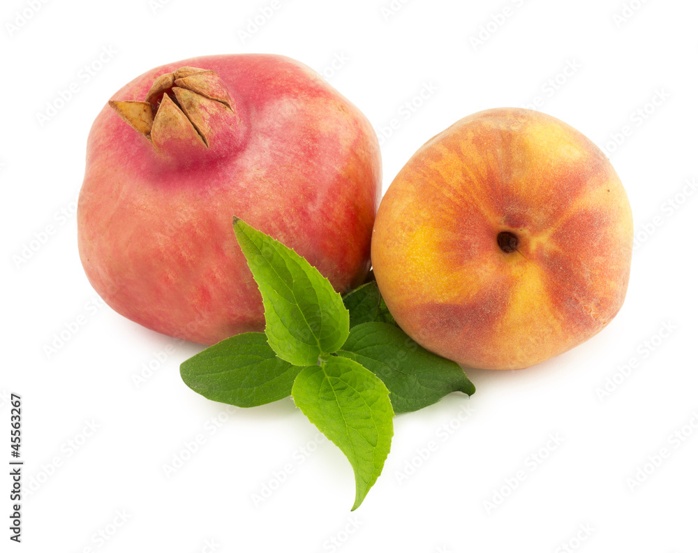 pomegranate pomegranate