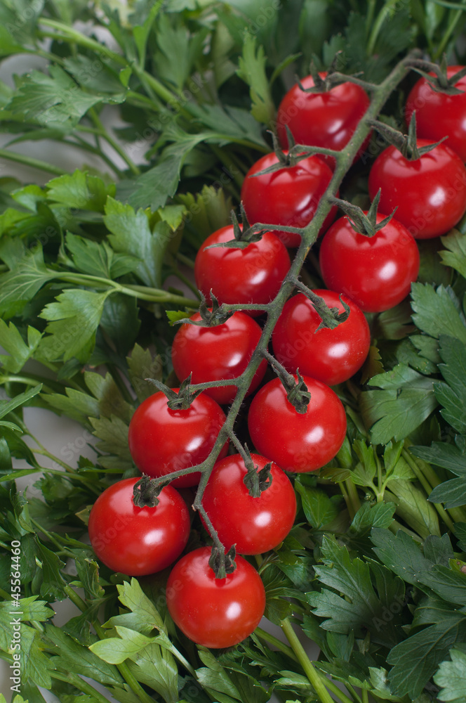 cherry tomato with green parsel
