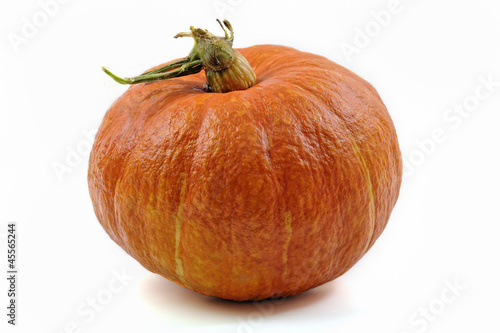 Large pumpkin isolated on white background photo