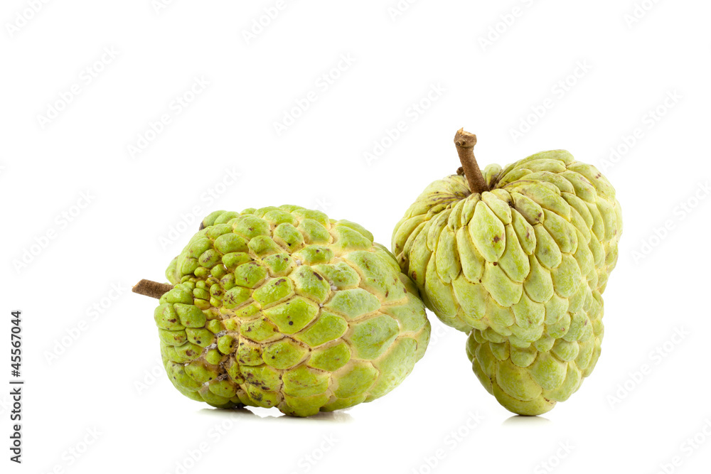 Obraz premium Custard apple