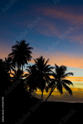 Fototapeta Naklejka Na Ścianę i Meble -  sunset over Caribbean Sea, Turtle Beach, Tobago