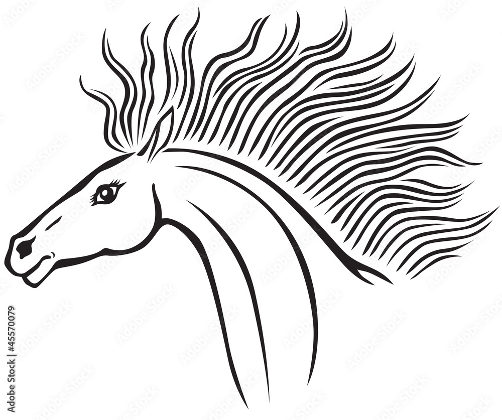 horse head horse head