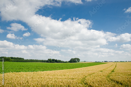 Agriculture - Gembloux - Belgium