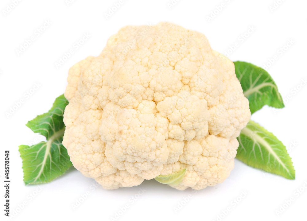 Cauliflower isolated Cauliflower isolated