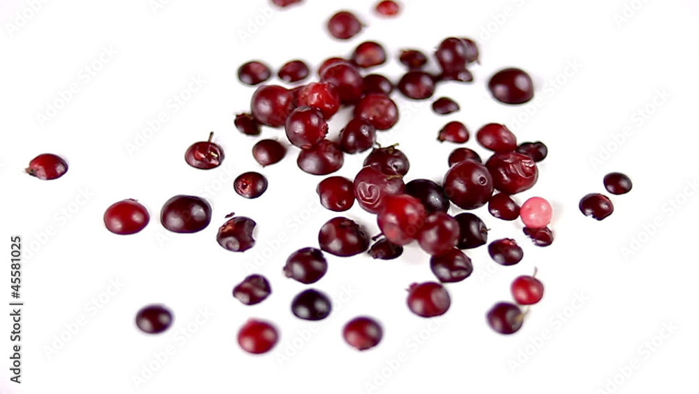 Cowberries in a yoghurt Cowberries in a yoghurt