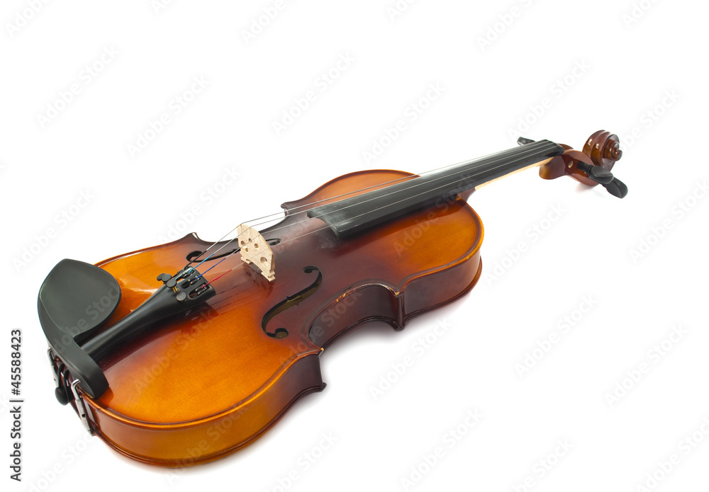 violin isolated violin isolated