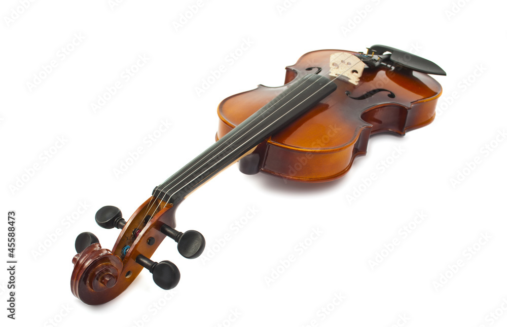 Obraz premium violin isolated