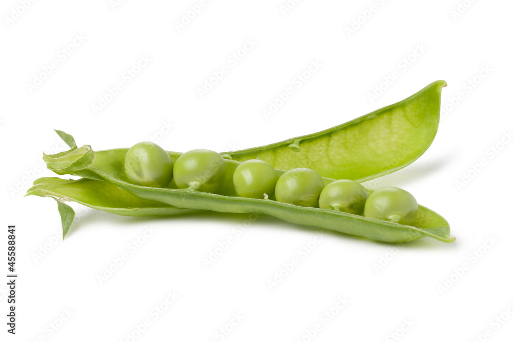 pod of peas on white background pod of peas on white background