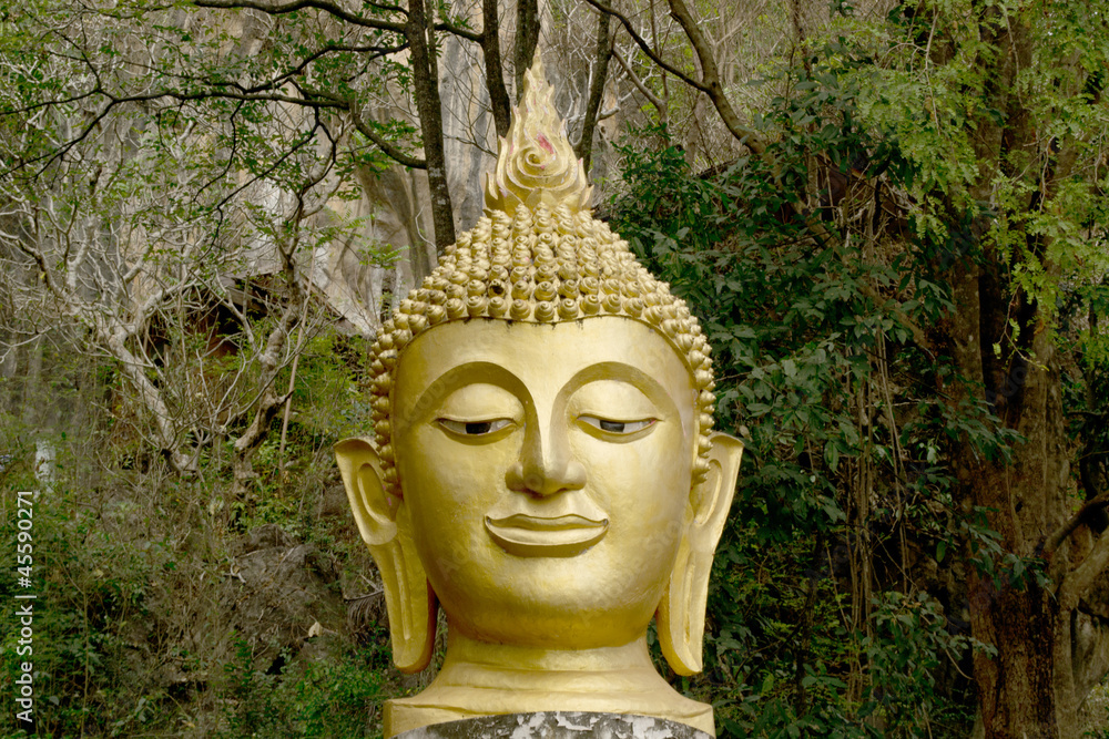 Buddha head.