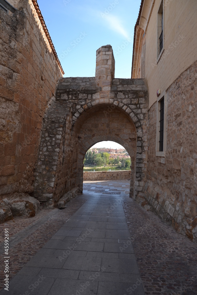 Fototapeta premium Puerta del Obispo en Zamora