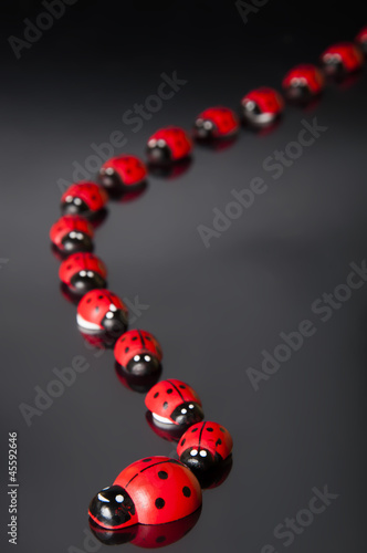 Fotografie Coccinelle in coda