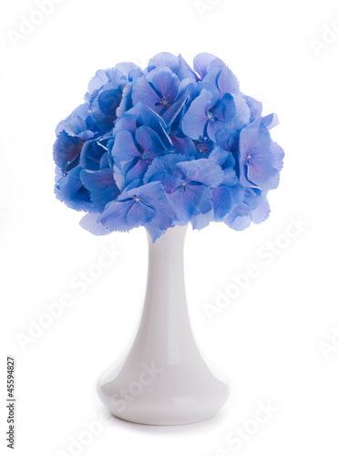 Flowers in a bouquet, blue hydrangeas and white flowers