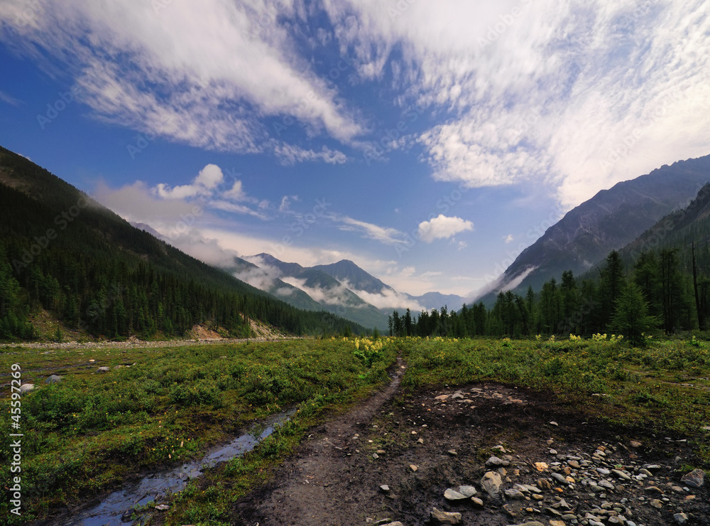 Obraz premium Natural solonetz