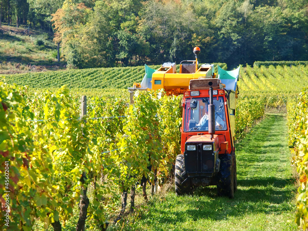 Obraz premium TRACTEUR AGRICOLE