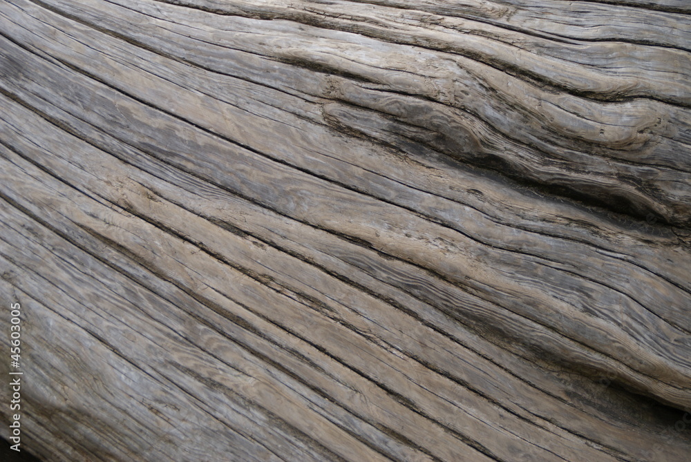 Holz, Baum, Rinde, Natur, natürlich, Struktur, Hintergrund Holz, Baum, Rinde, Natur, natürlich, Struktur, Hintergrund