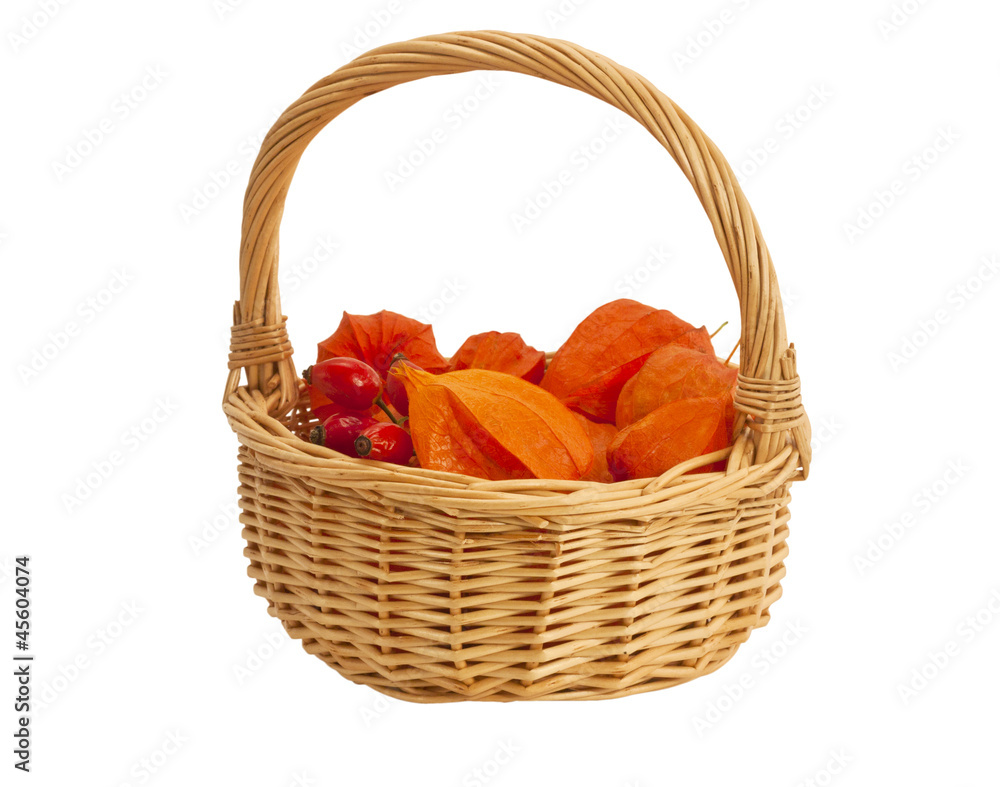 Flowers and berries in a wicker basket Flowers and berries in a wicker basket