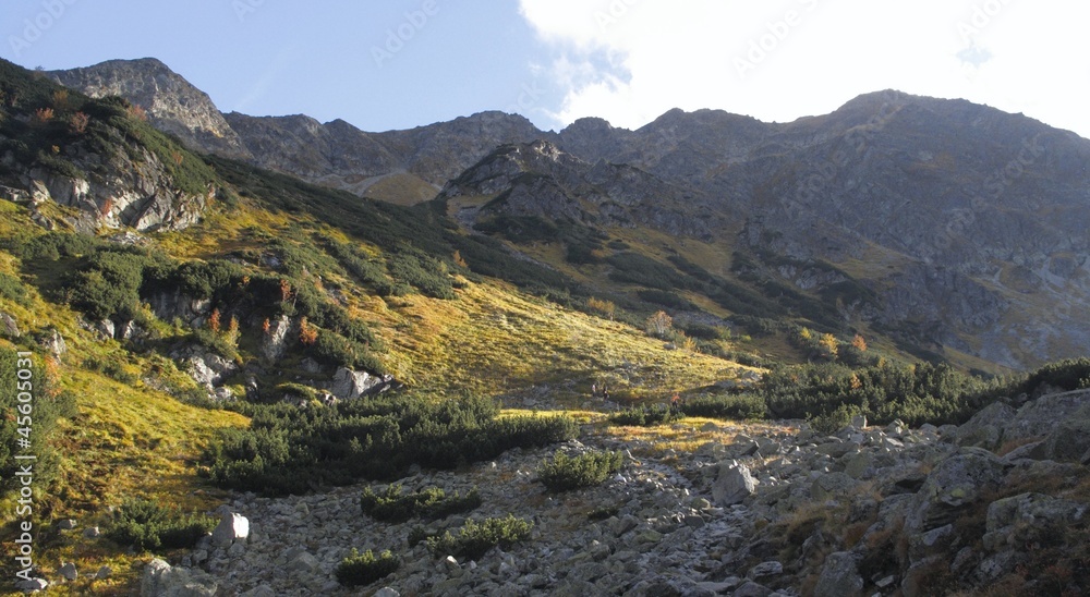 Naklejka premium Spalena dolina in western part of Tatra mountains