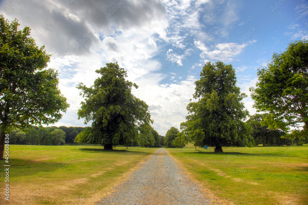 English country road at a Country Estate English country road at a Country Estate