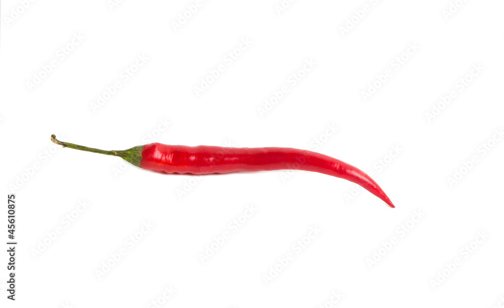 Red chilli pepper on white Red chilli pepper on white