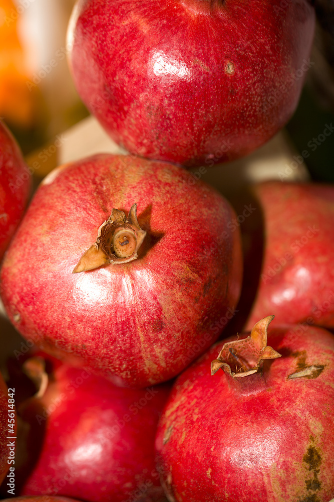 fruit fruit