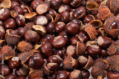 ripe chestnuts