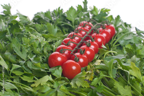 cherry tomato with green parsel photo