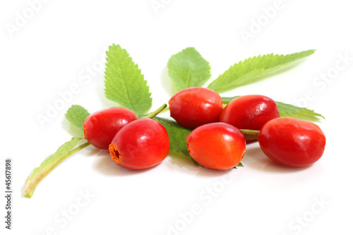 Fresh rose hips with leaves