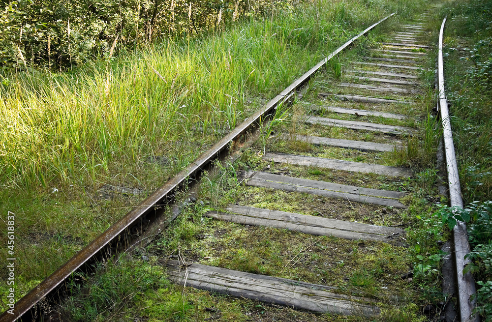 Old abandoned railway track in the forest