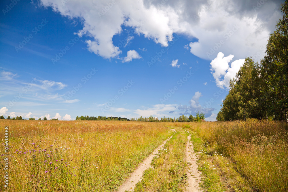 Obraz premium Russian rural landscape with dirt road along the field