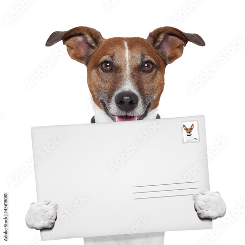 post envelope mail stamp dog © Javier brosch