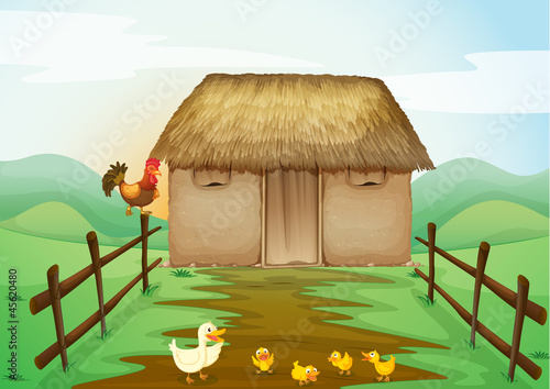house and ducks