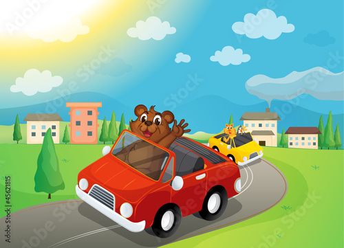 Obraz niedźwiedź i samochody