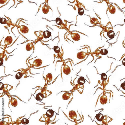 Red ants. Seamless background.