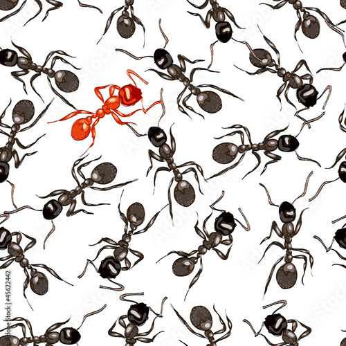 Red ant surrounded by black ants.