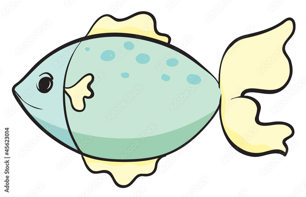 a fish a fish