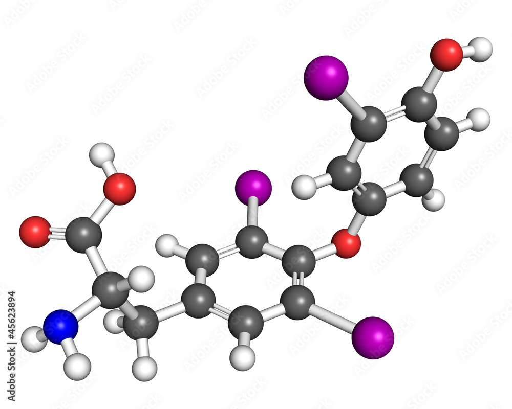Triiodothyronine molecule Triiodothyronine molecule