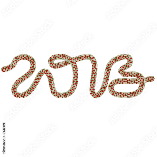 Card with lace snake. 2013 new year.  Vector.