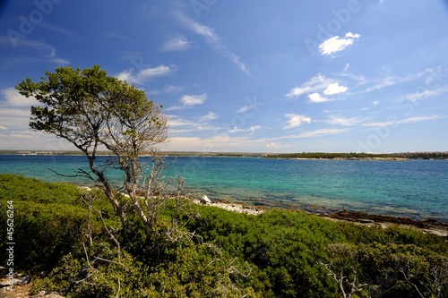 Brijuni National Park (Croatia)