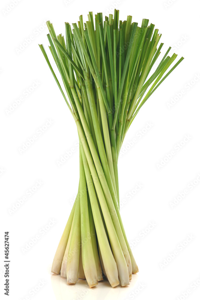 Lemon grass on white background Lemon grass on white background