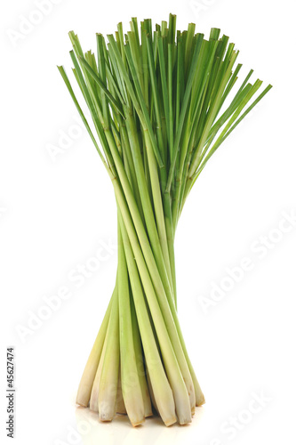Photos Lemon grass on white background