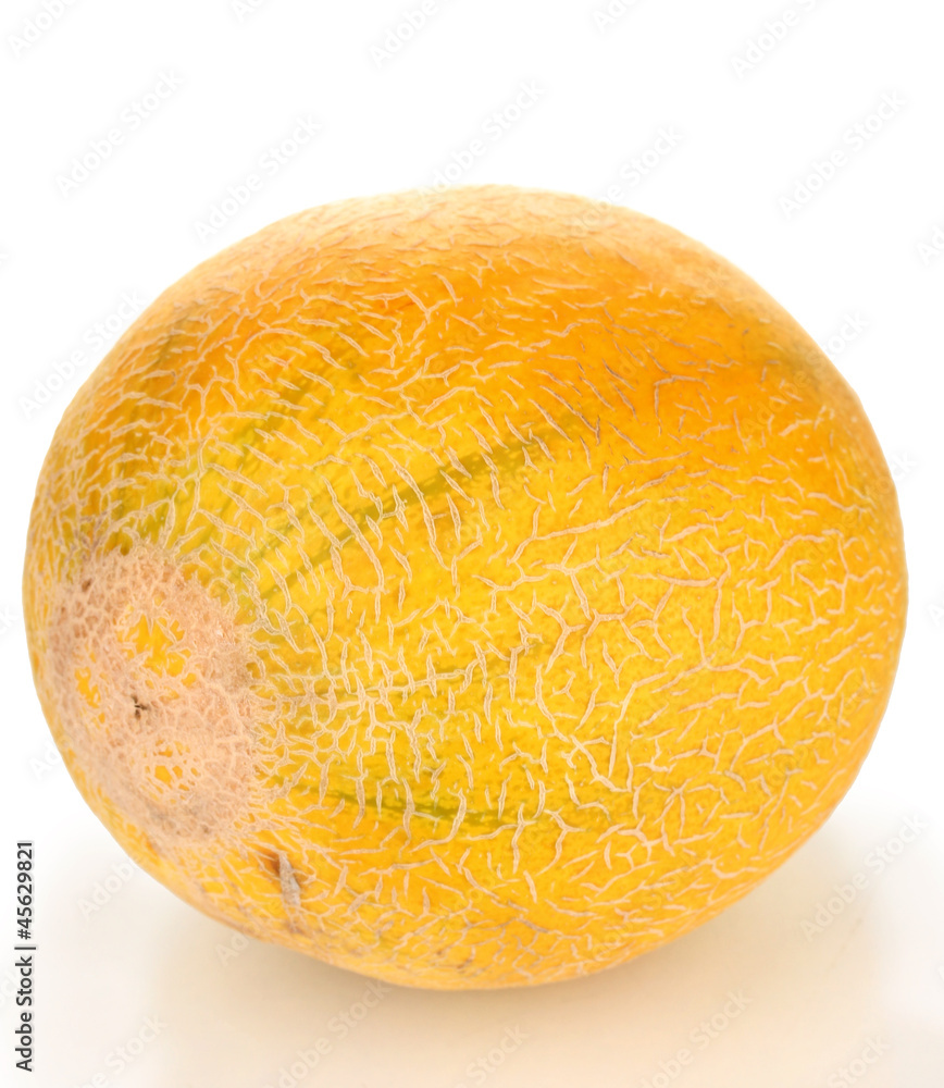 Ripe melon isolated on white Ripe melon isolated on white