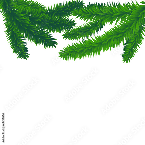 fir branches  vector christmas background with space for text